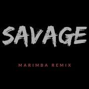 Savage Marimba Remix