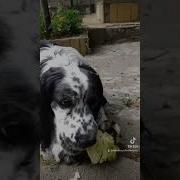 Как Вкусненько Ам Ням Нямочки