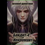 Евгений Щепетнов Бандит Книга 4