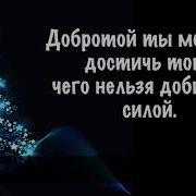 Как Же Мудро Сказано Пожелания На Новый Год