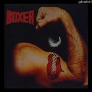 Boxer No Reply