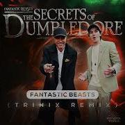 Fantastic Beasts Trinix Remix John Williams James Newton Howard Wizarding World