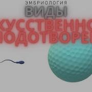 Папа И Сын Виды И Названия Женских Вагин