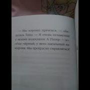 Котята В Музее