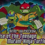 Rise Of The Teenage Mutant Ninja Turtles Rus