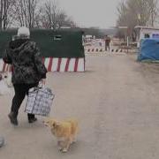 Сработка На Границе