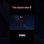 And Tell Off The Wolf Spider Verse