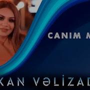 Turkan Velizade Canim Menim Yeni Klip 2020