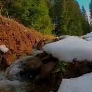 Расслабляющий Звук Ручья Звуки Леса Для Медитации И Релакса