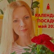 Татьяна Борщ Лунный Посевной Календарь На 2021 Год