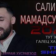 Салими Мамадсултон 2020 Тут Хьо Галец Хабар Нест