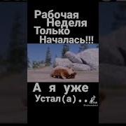 Уже Спина Устала
