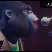 Moyloving Zor Bolmasa Buncha