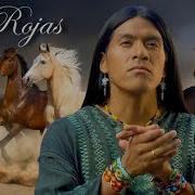 Leo Rojas Der Einsame Hirte Одинокий Пастух Скачать