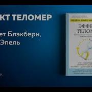 Эффект Теломер Революционный Подход К Более Молодой Здоровой И Долгой Жизни