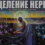 Осищение Нервной Системы И Психики