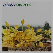 After Hours Caribou