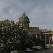 Гуппа Санкт Петербург