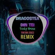 Dragostea Din Tei 抖音Dj