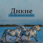 Зажигательное Кантри