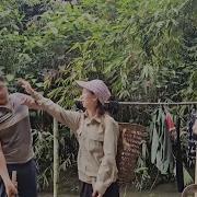 Babui Boom Boom