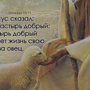 Пастырь Добрый