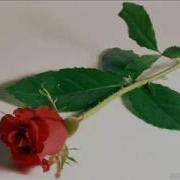 Только Ты Только Ты Для Тебя Все Цветы Песня