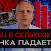 Рыночные Отношения Ро