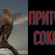 Пугливая Герцогиня