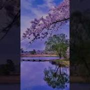 Абузар Мухтаров