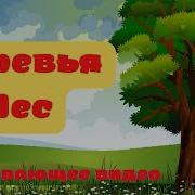 Деревья Развивающее Видео Для Детей