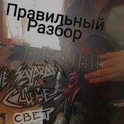Чëзауродынасцене Свет