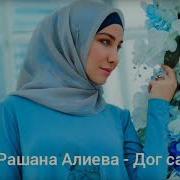Рашана Алиева Д1Аэцахьа Ахь Дог Са