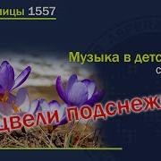 Расцвели Подснежники Голубые Нежные