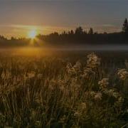 Пение Жаворонка И Музыка