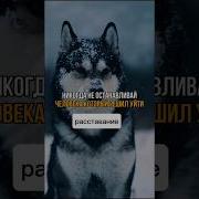 Больно Больно От Этой Любви