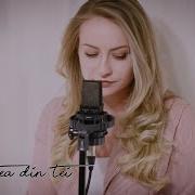 Dan Balan Katerina Begu Dragostea Din Tei Numa Numa 3 Monica Bejenaru Cover