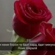 Нам Нами Борон Чу Ёдат Кард Ёдат Мекунам
