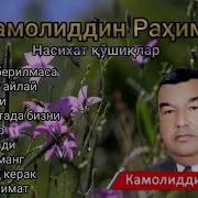 Насихат Қўшиқлар