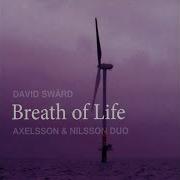 Axelsson Nilsson Duo Stranden I