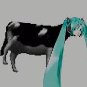 Miku Dancing Polish Cow