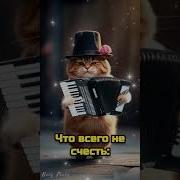 Видео Доброе Утро