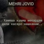 Mehri Jovid