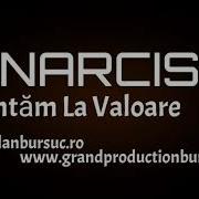 Narcis Cantam La Valoare