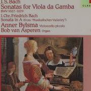 Bob Van Asperen Sonata In G Minor Bwv 1029 I Vivace