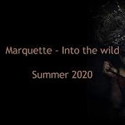 Marquette In To The Wild