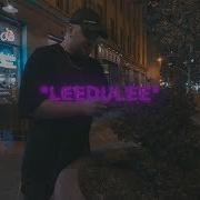 Ledledle