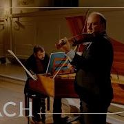 Bach Bwv 1014