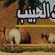 قصة سيدنا محمد مولده