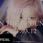 Rose On The Ground Teaser